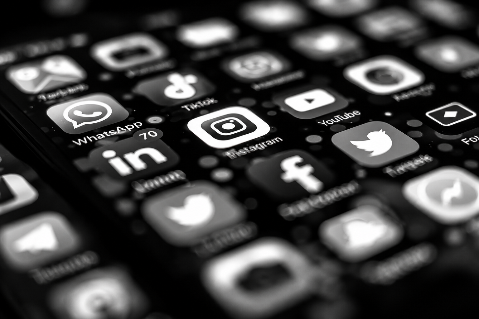 Campagne digitale e-TAX